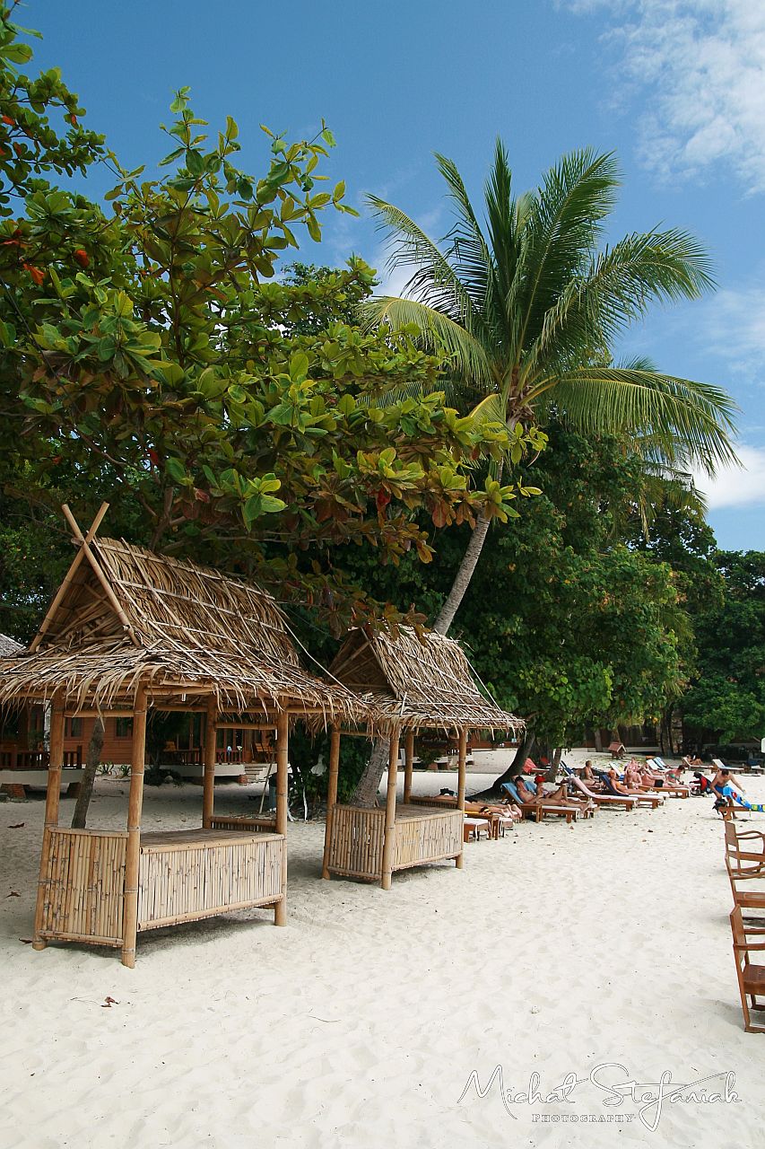  MG 0513 img1 (40)  IMG 2917